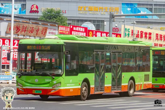 800BUS
