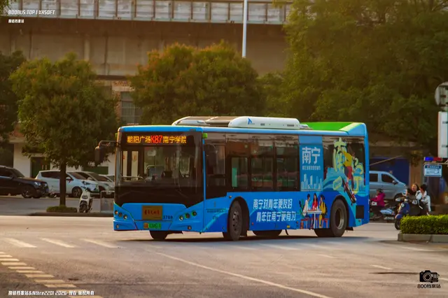 800BUS