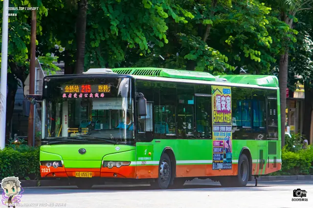 800BUS