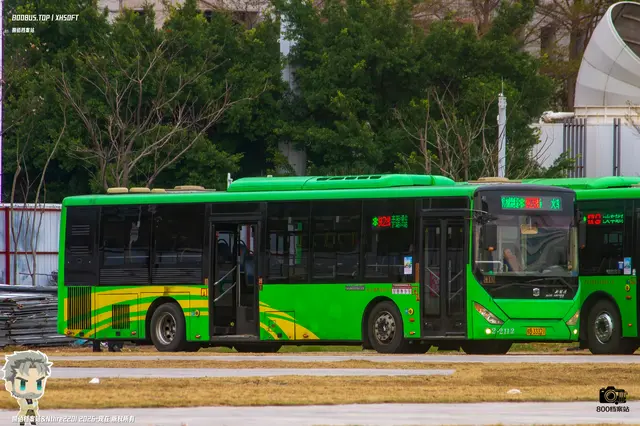 800BUS