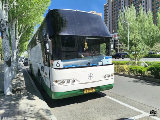 800BUS