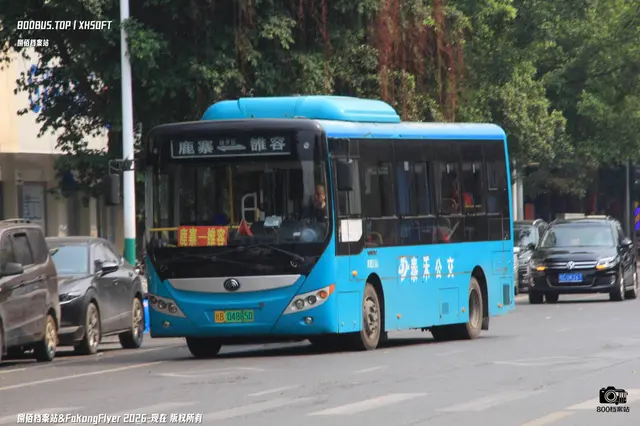 800BUS