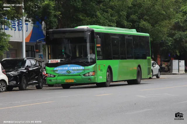 800BUS