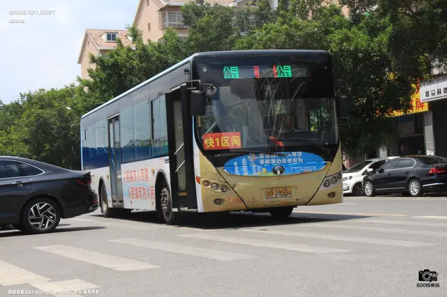 800BUS