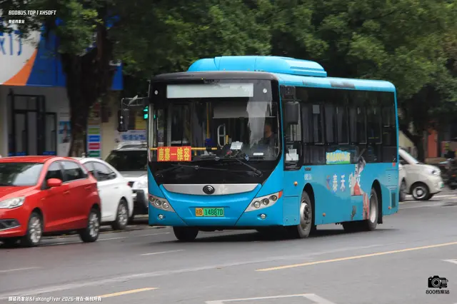 800BUS