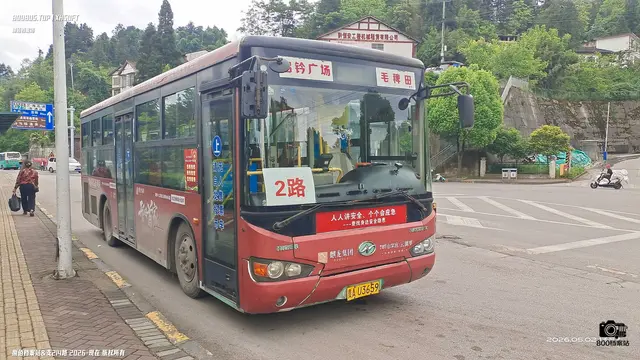 800BUS