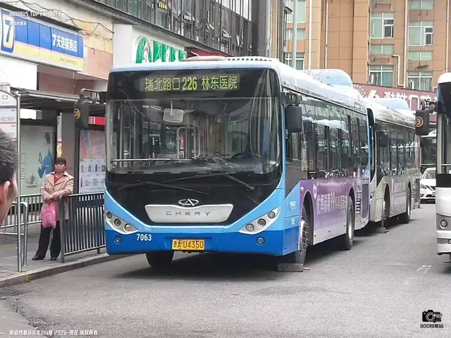 800BUS