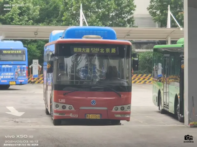 800BUS