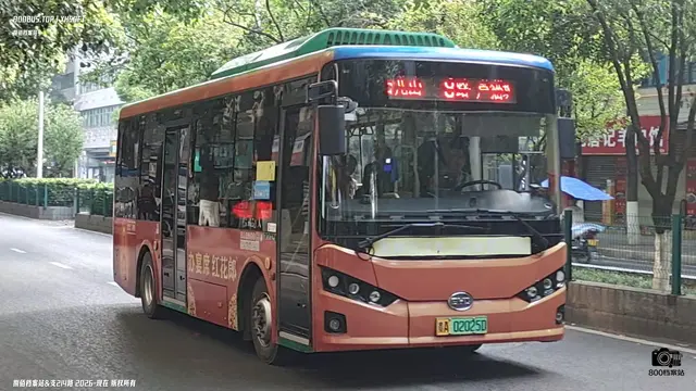 800BUS