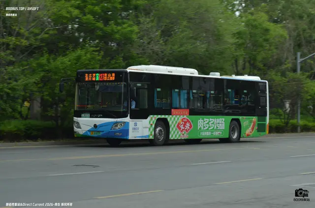 800BUS
