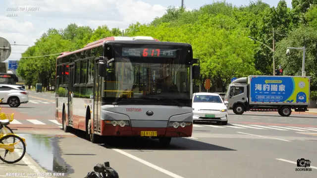 800BUS