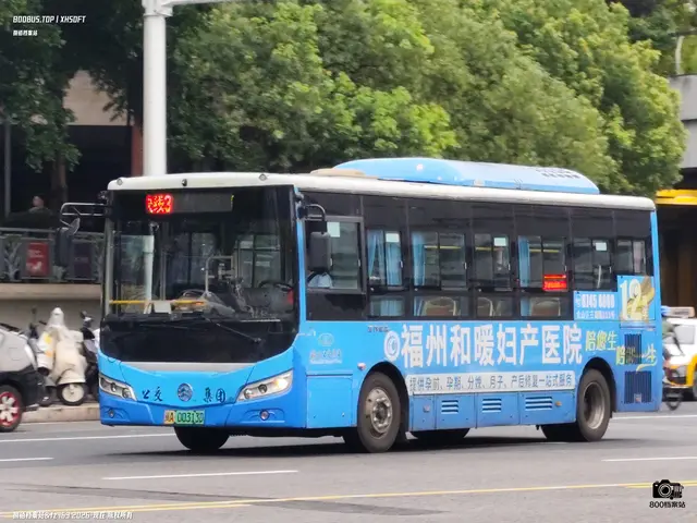 800BUS