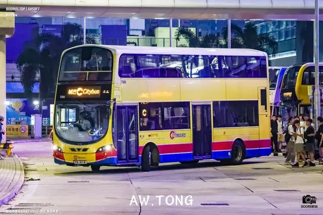 800BUS