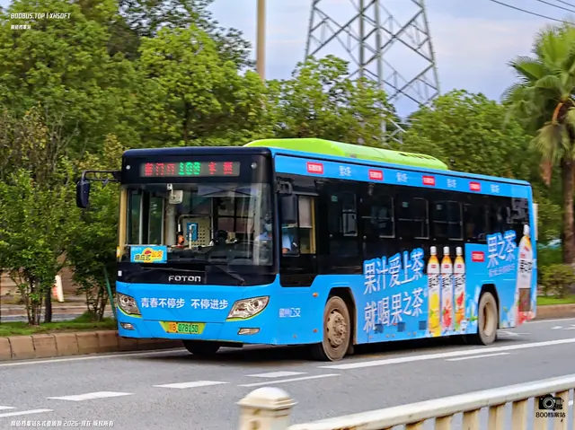 800BUS