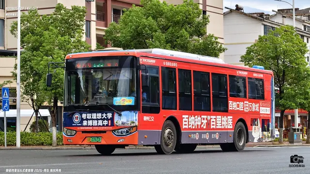 800BUS