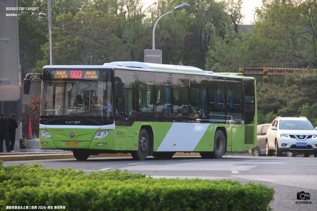 800BUS