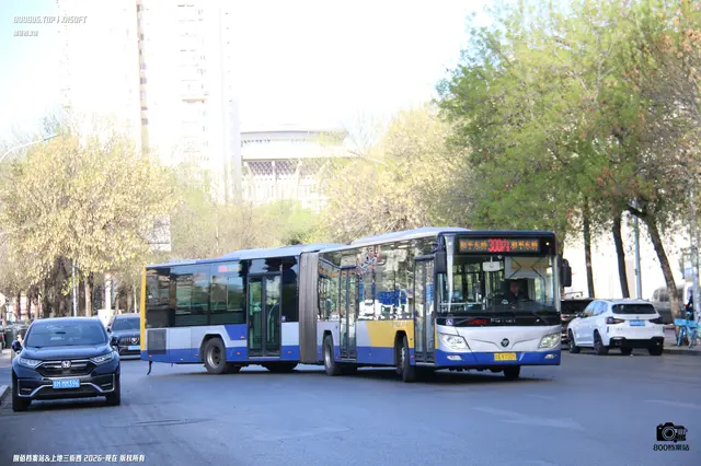 800BUS