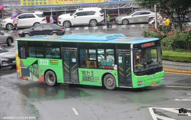 800BUS