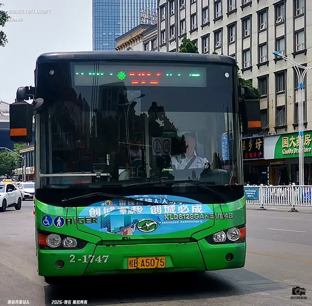 800BUS