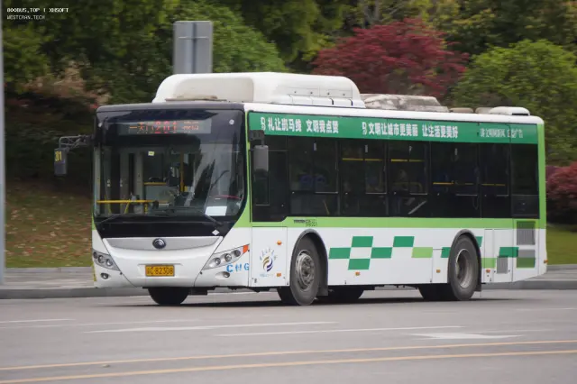800BUS