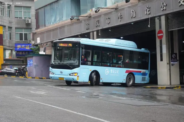 800BUS