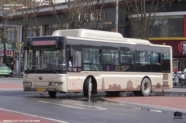 800BUS