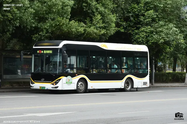 800BUS