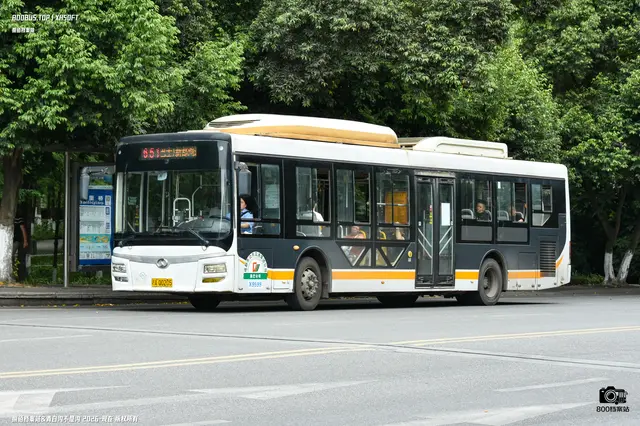 800BUS