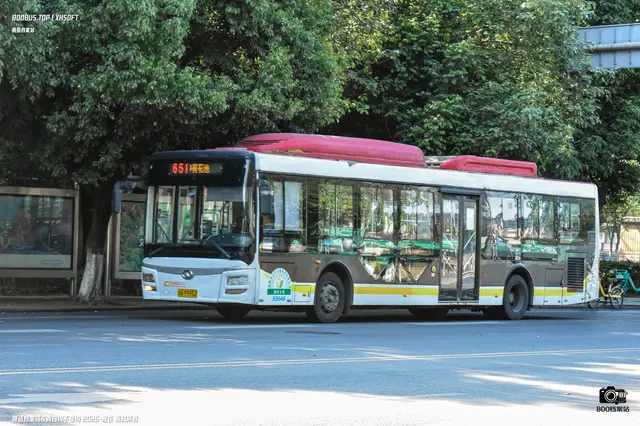 800BUS