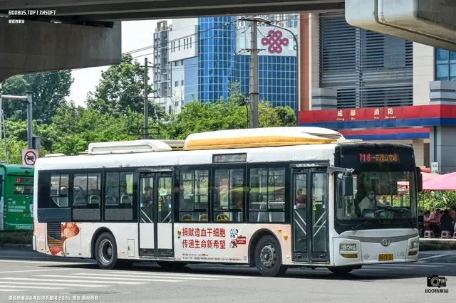 800BUS