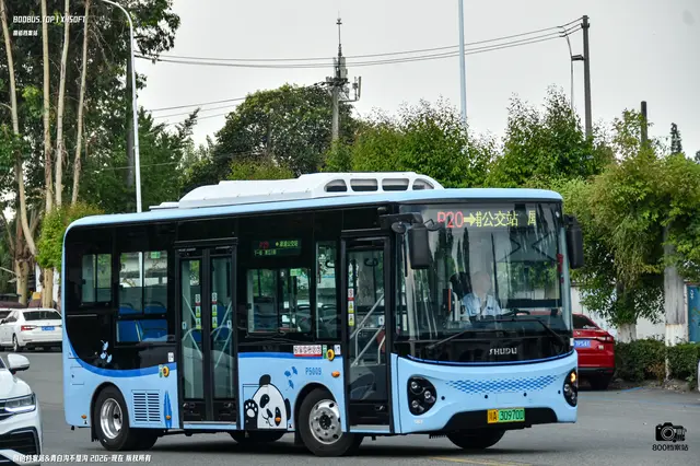 800BUS