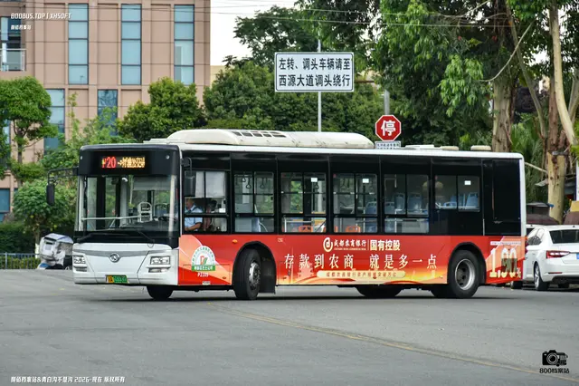 800BUS