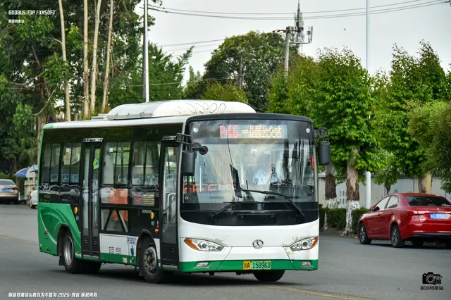 800BUS