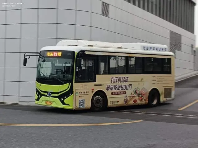 粤D 19554