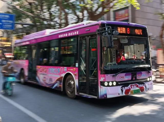 800BUS