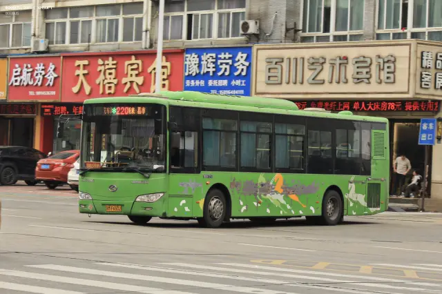 800BUS