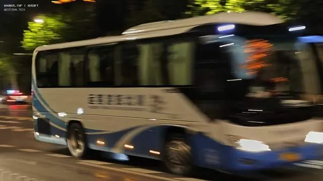 800BUS