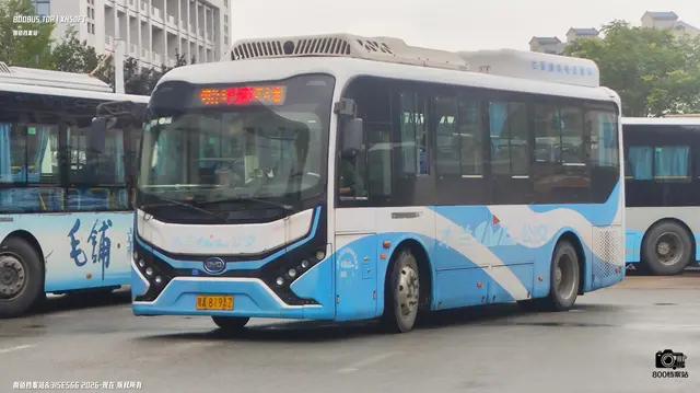 800BUS