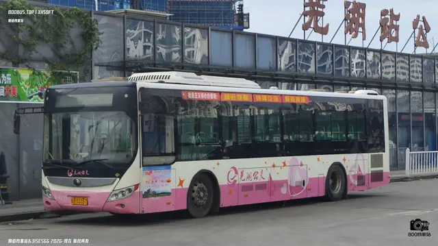800BUS