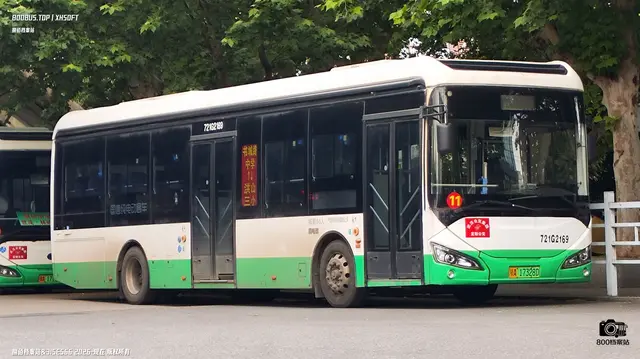 800BUS