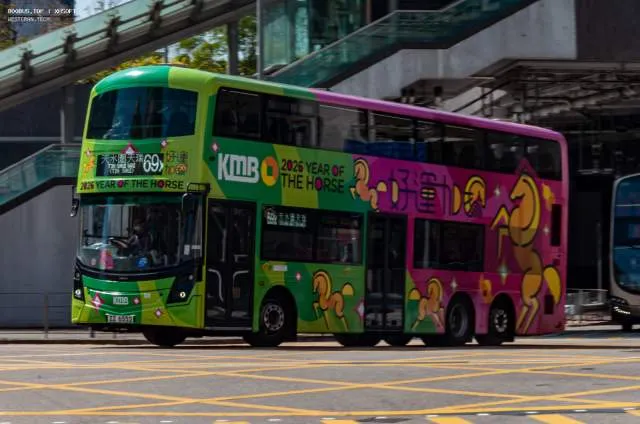 800BUS
