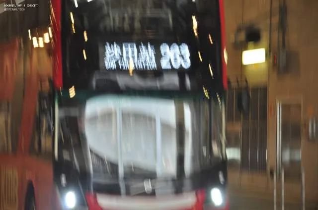 800BUS