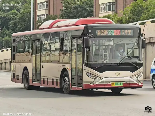 800BUS