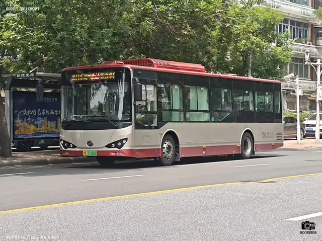 800BUS