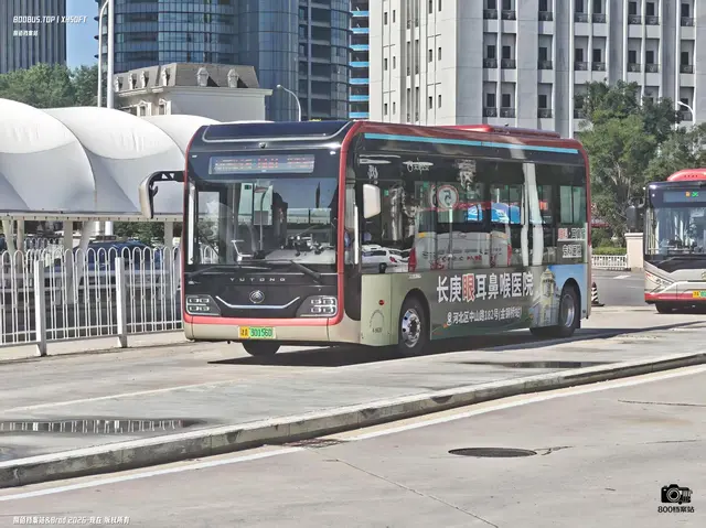 800BUS