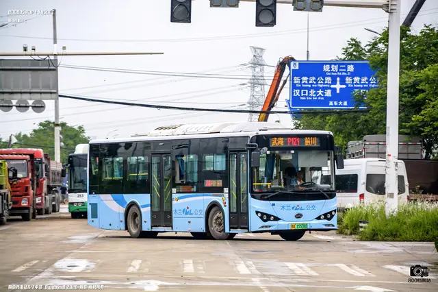 800BUS