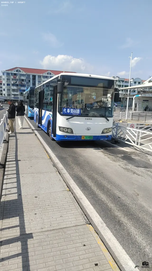800BUS