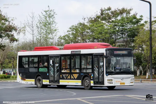 800BUS