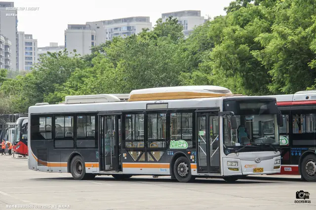 800BUS