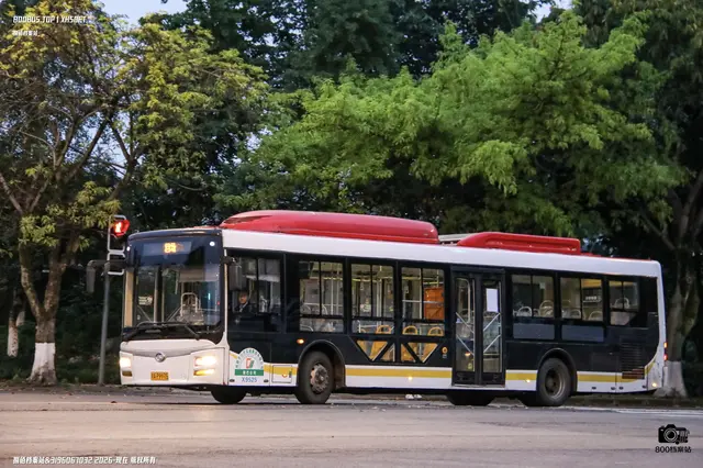 800BUS